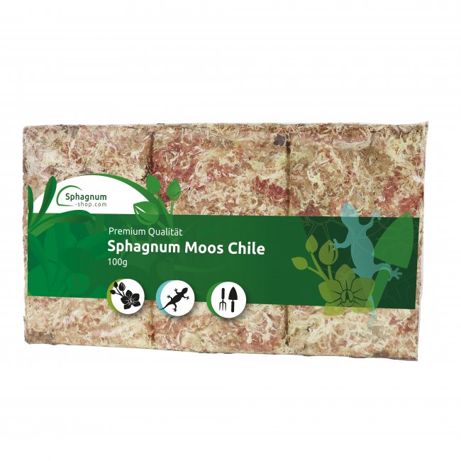 Dried Sphagnum moss brick from Chile 100g